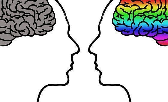 Men and women have different brains