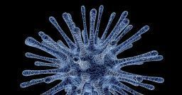 The response to coronavirus: Smart Working and eLearning training The response to coronavirus: Smart Working and eLearning training