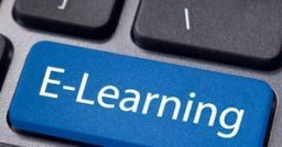 Business training: growing interest in soft skills and the use of e-Learning