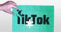 L’e-learning ai tempi di Tik Tok L’e-learning ai tempi di Tik Tok